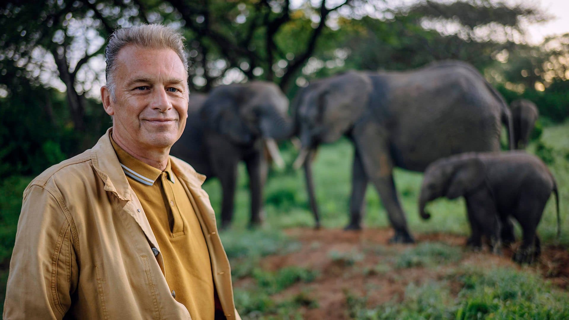 Chris Packham transports viewers back billions of years in new series Evolution