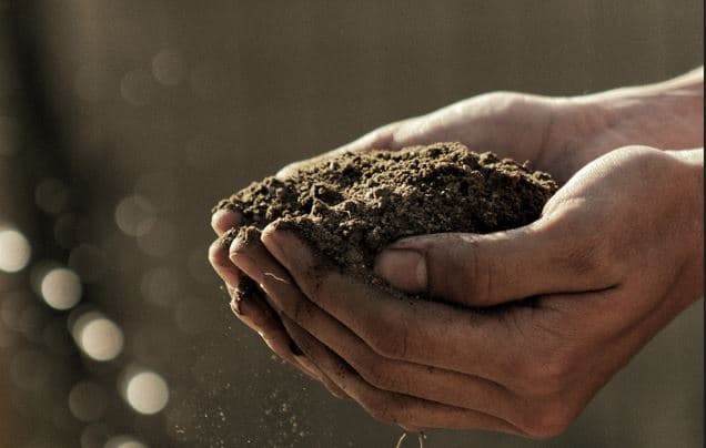 Using Microbes To Battle Pollution