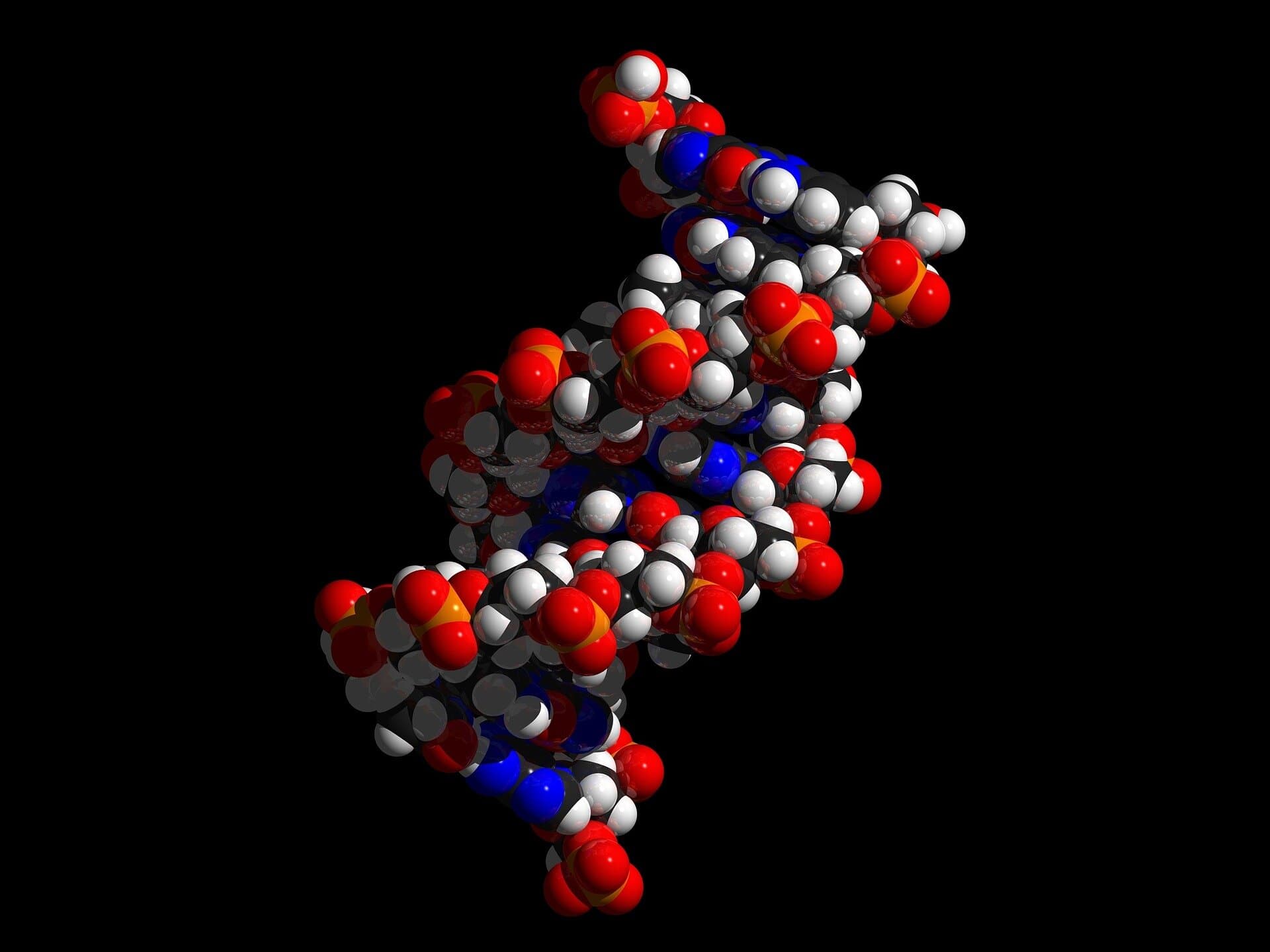 Evolutionary origins of 'junk DNA' may provide new clues to cancer