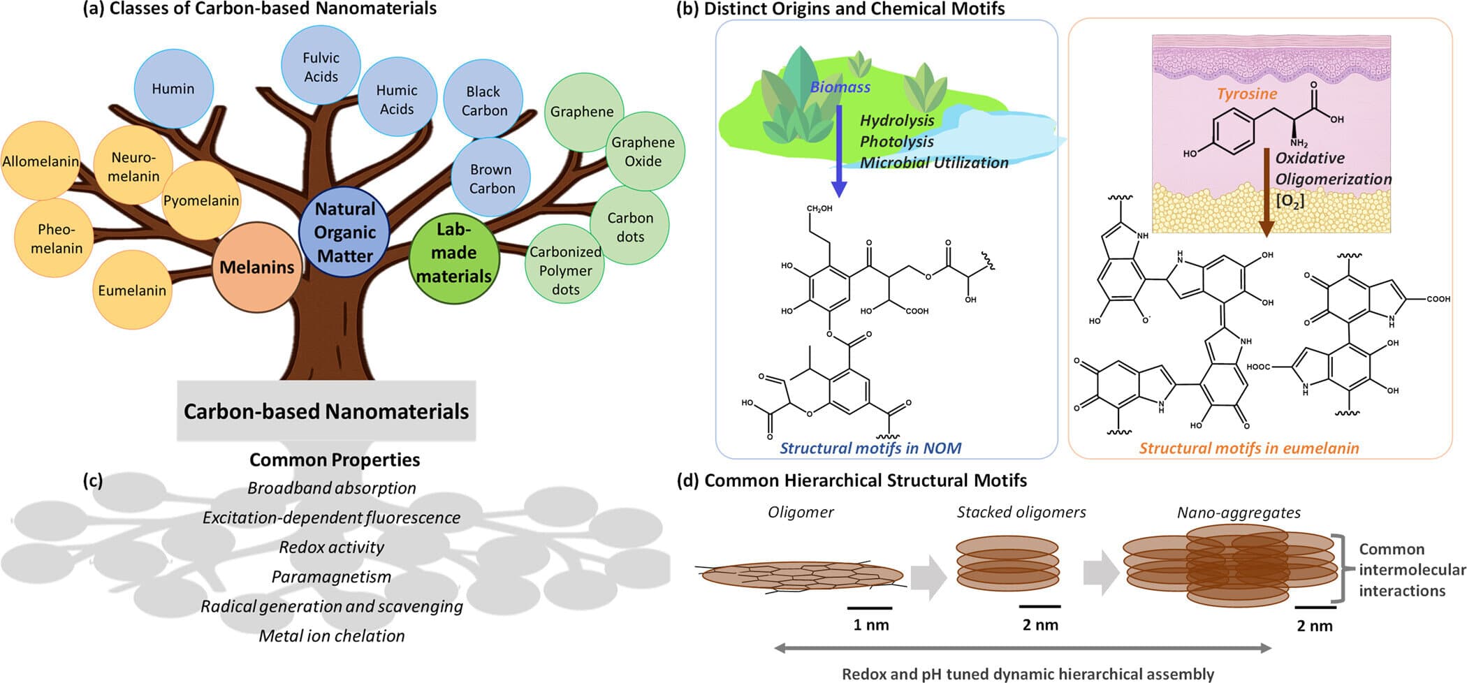 Common nanostructures may explain shared photoproperties in two widespread dark materials