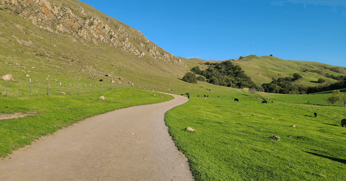 This Bay Area Destination Ranked Among America's Most Popular Trails