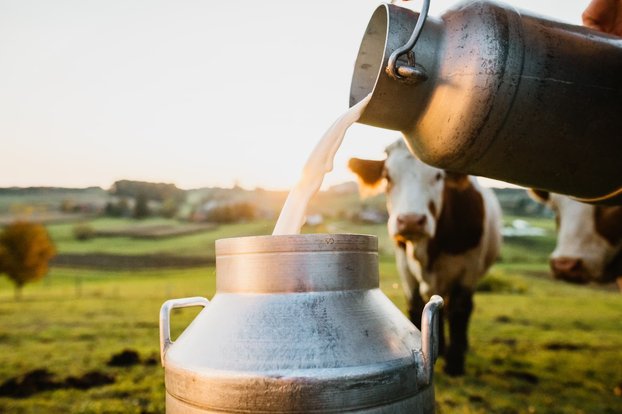 Food first, supplements only when needed, says Endocrine Society of India’s first calcium guidance