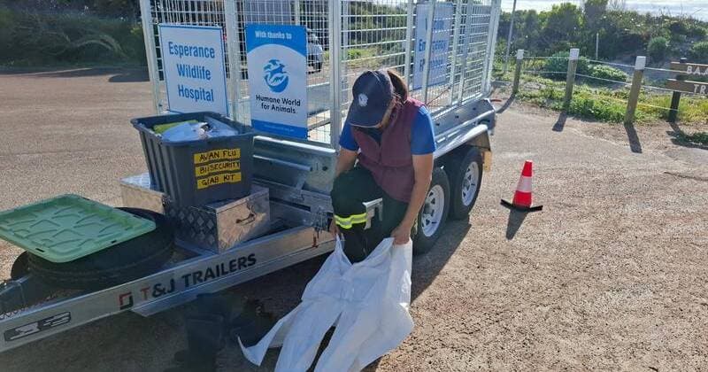 Bird flu surveillance ramped up on coastline
